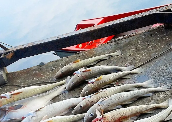 11 Person In Syvde Myklebost (Vanylven)