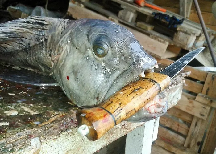 Semesterbostad 11 Person In Syvde