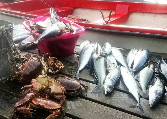 度假居 11 Person In Syvde