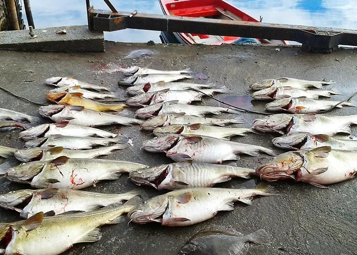 11 Person In Syvde 度假居 *